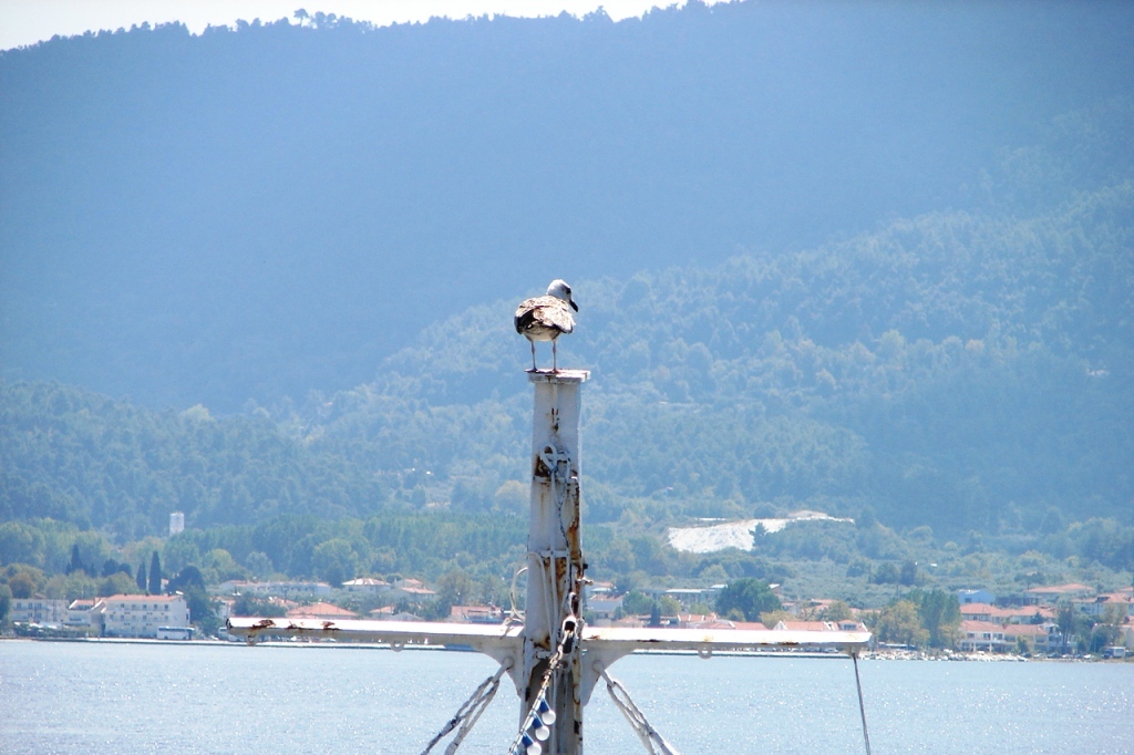 Giola Lagoon — Greece