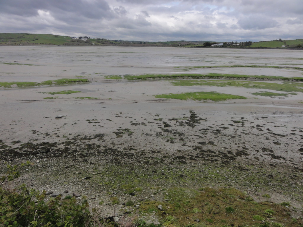 Inchydoney — Ireland