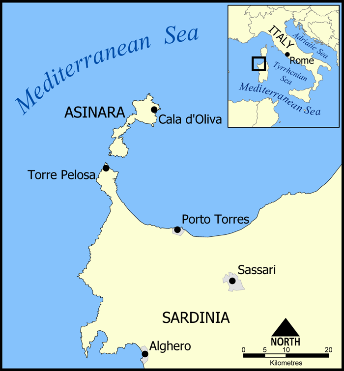 La Pelosa Beach