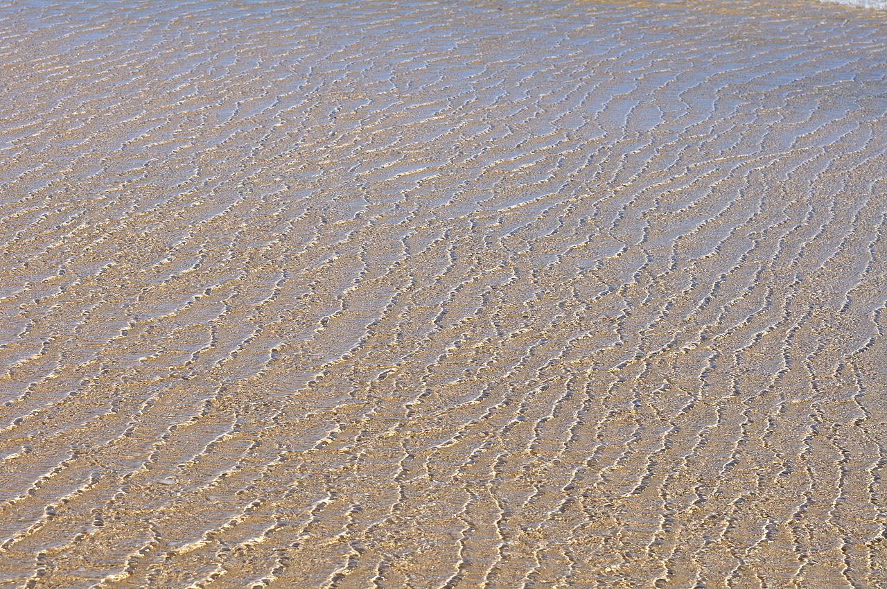 Playa de Sotavento — Spain